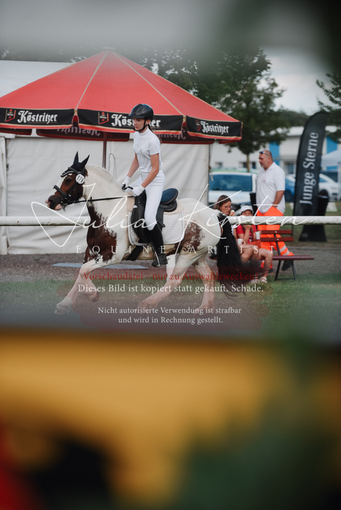 DSC_5611 | Pferde- und Turnierfotografie in Westsachsen. Pferdeportraits, Auftragszeichnungen und intuitive Kunst.