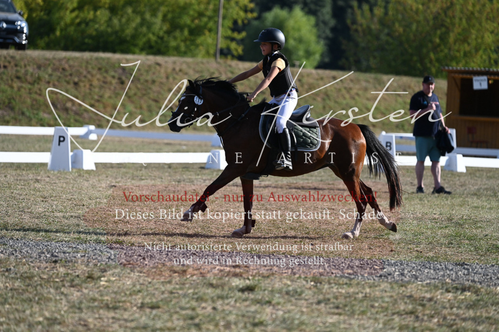 DSC_8970 | Pferde- und Turnierfotografie in Westsachsen. Pferdeportraits, Auftragszeichnungen und intuitive Kunst.
