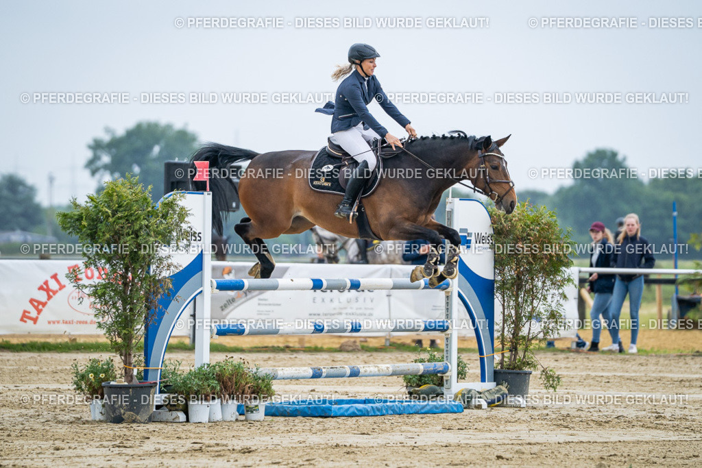 DSC01942 | Pferdegrafie