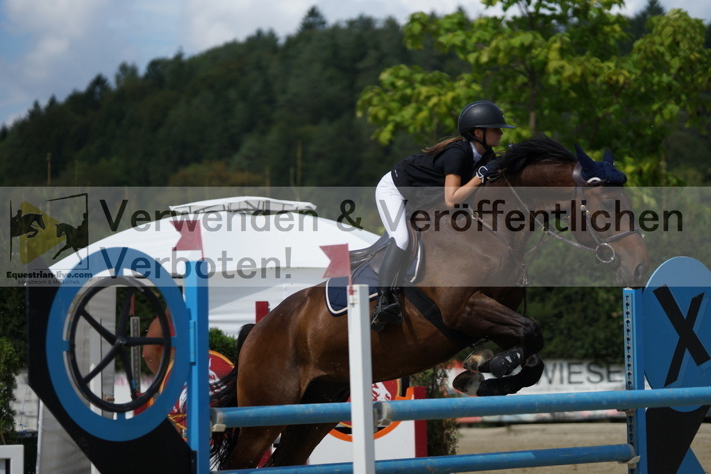 DSC00096 | equestrian-live-com