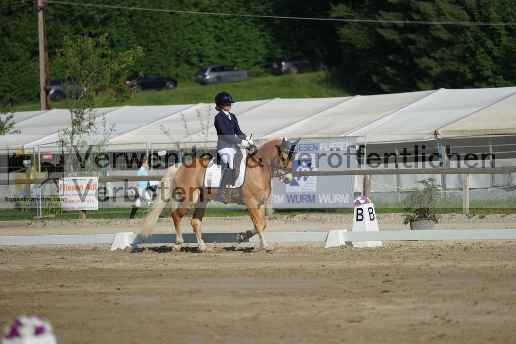 DSC04100 | equestrian-live-com