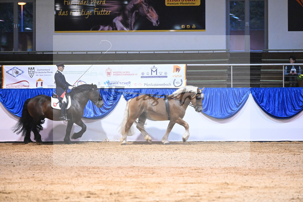 Schauprogramm_54222456 | hf-fotografie - Realisiert mit Pictrs.com