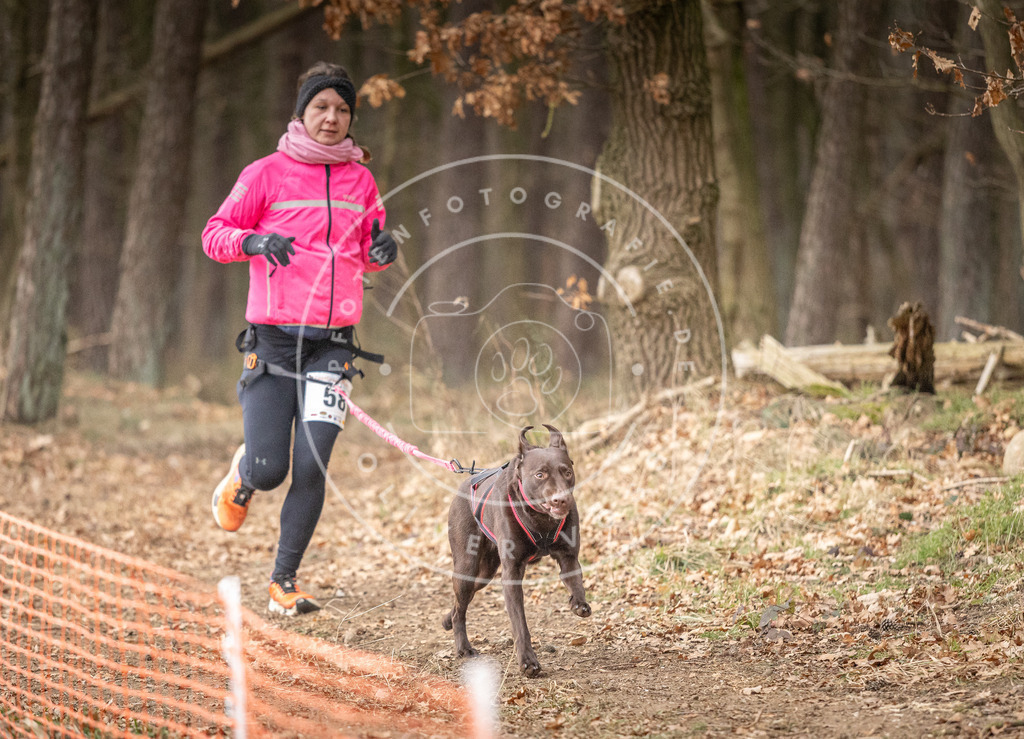 Pfotenfotografie_DV3A2031 | Hundefotografie, Tierfotograf, Pfotenfotografie, Fotoshooting Hund, Hunde Portrait, Hundesport, Hundeportraits, Heideshooting, Hunde, Sportfotograf, Hundefotograf, Turnierhundsport, THS,  - Realisiert mit Pictrs.com
