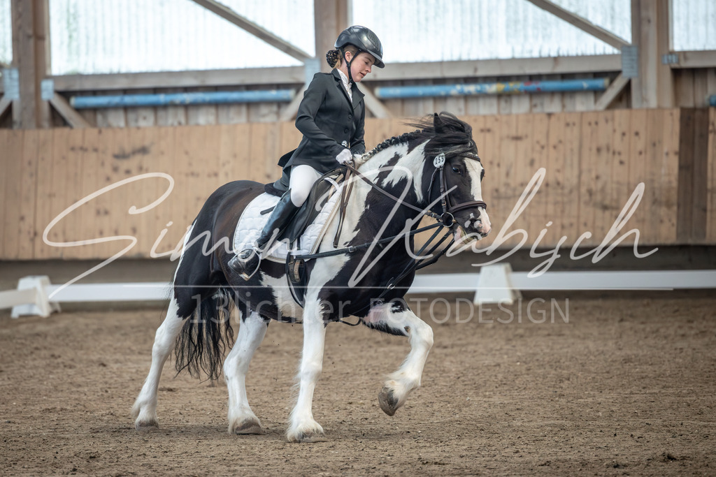 20251011-_3LI7675 | Tierfotografie Pferde, Hunde, Katzen, Haustiere.
Turnierfotografie Reitturniere, Reiten, Springreiten, Dressur in Hanau, dem Main-Kinzig-Kreis und dem Rhein-Main- Gebiet um Frankfurt