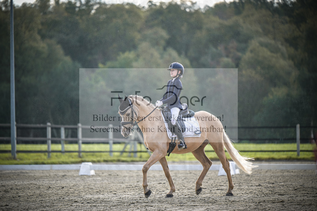 DOS_4612 | Entdecke hochwertige Reitturnierfotos von Foto Oger. Professionell, emotional und authentisch – jetzt Lieblingsmomente im Shop bestellen.Deutschlandweite Turnierfotografie. - Realisiert mit Pictrs.com