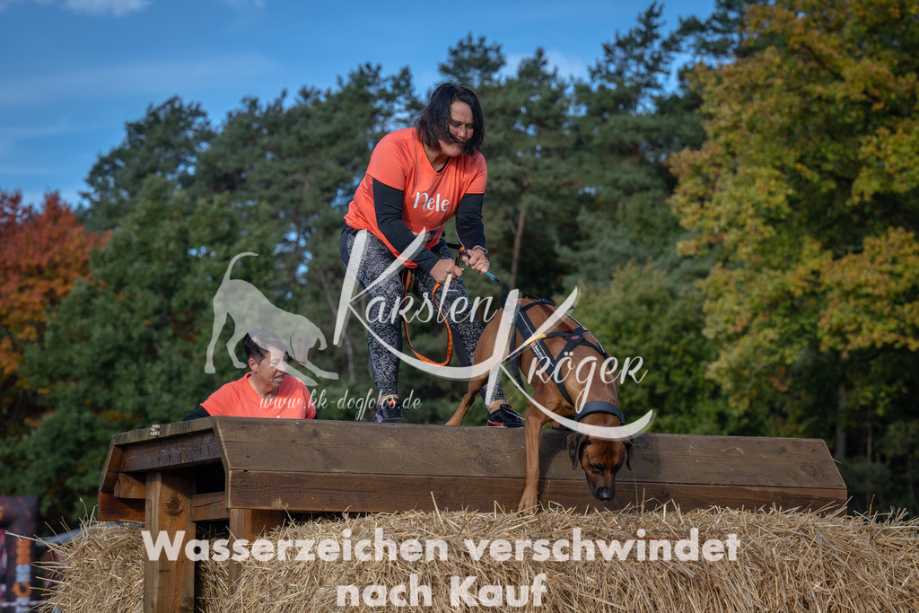 1015_ZZ92775 | kk-dogfotos
