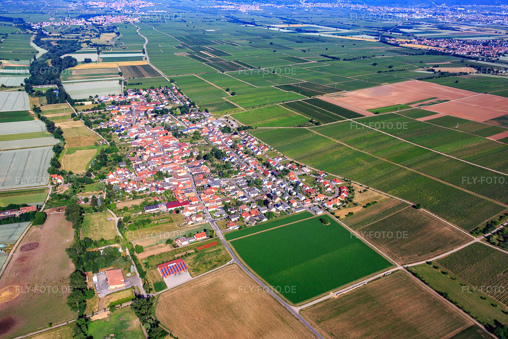 Luftbild: Ortsansicht aus Osten im Ortsteil Duttweiler in Neustadt im Bundesland Rheinland-Pfalz in Deutschland. Foto: IMG_080958.jpg vom 14.06.2015 durch Werner Riehm/FLY-FOTO.de