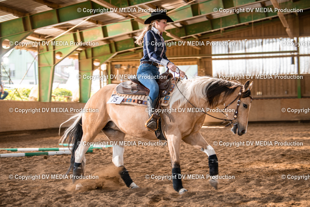 Balingen Tag 4-800 | dv-media-shop - Realisiert mit Pictrs.com