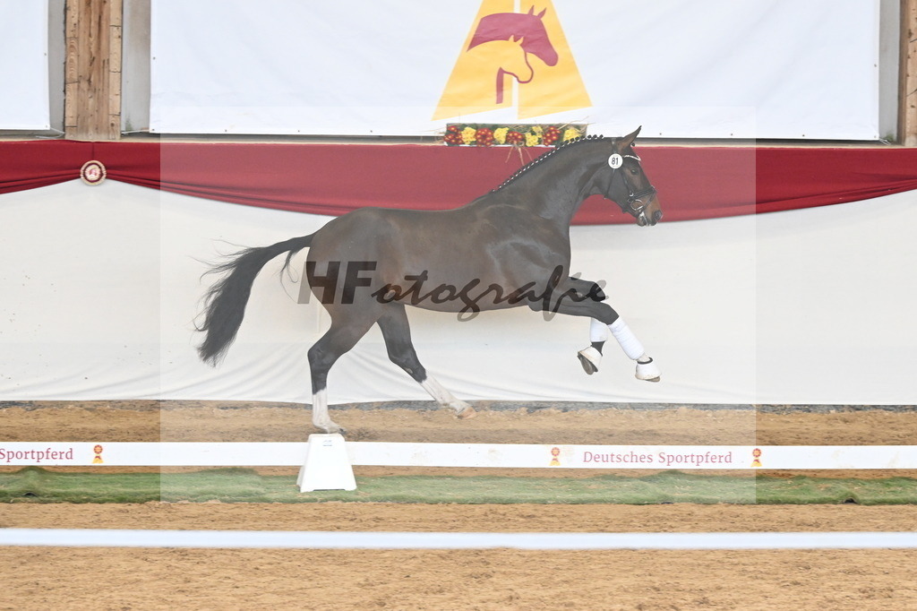 Kat.-Nr. 81 v. Va Bene_Greim_3261145 | hf-fotografie - Realisiert mit Pictrs.com