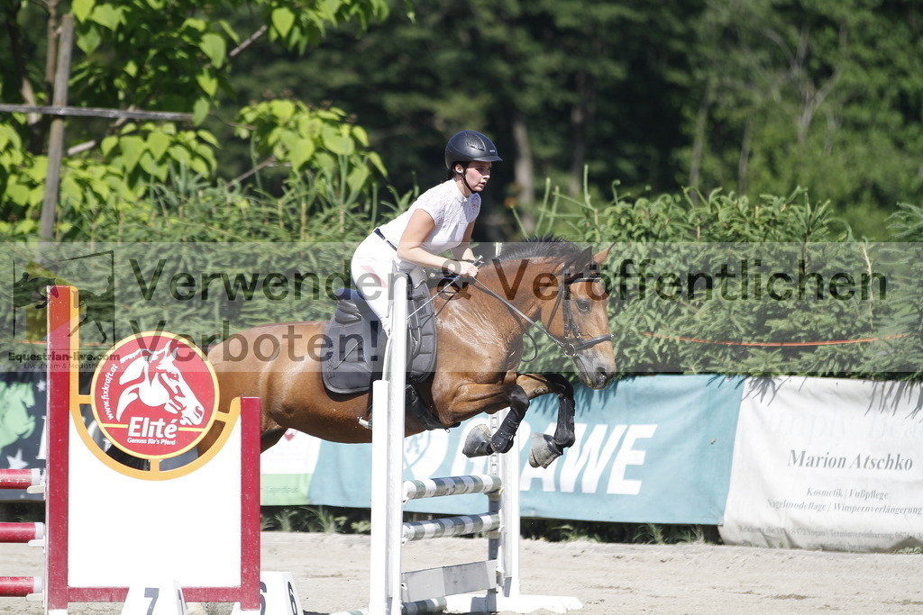 _MG_2563 | equestrian-live-com