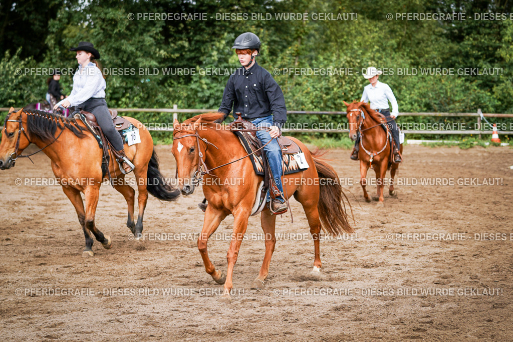 DSC09093 | Pferdegrafie