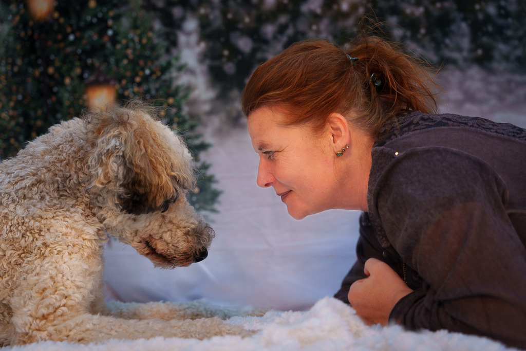 allesWIRTHgut Tierfotografie - 7IV06315-Bearbeitet | Professionelle Tierfotografie in Mönchengladbach von Daniel Wirth (allesWIRTHgut). Liebevolle & natürliche Bilder von Hunden & Katzen für unvergessliche Erinnerungen.