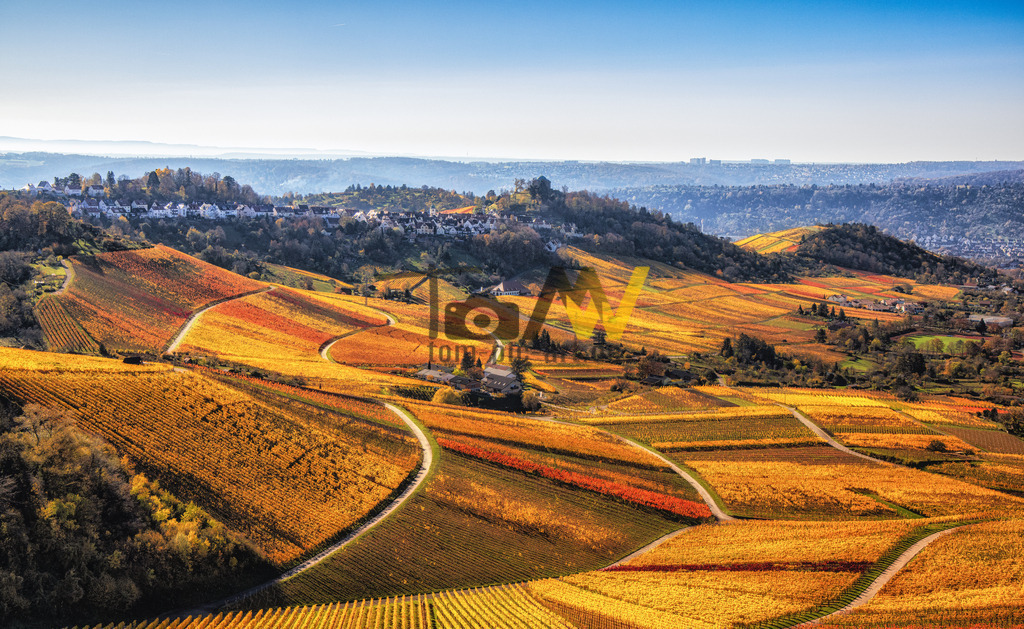 Herbstlicher Ausblick|Weinberge---Stuttgart Rotenberg | Die orange rot geschwungen Hügel und Täler, bieten einen fantastischen malerischen Ausblick.Stuttgart Rotenberg - schwäbische Toskana. - Realisiert mit Pictrs.com