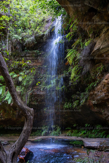 wasserfall | Fotografie Photography Dresden Photoshooting  Fotoshooting Fotografin Dresdencity Bilder  Foto Dresdenvideos Kalender Postkarten Bilderdownload Portrait Hochzeitsfotografie Familienfotos Bewerbungsbilder Studiofotografie Fotograf Dresdenbilder Business - Realisiert mit Pictrs.com