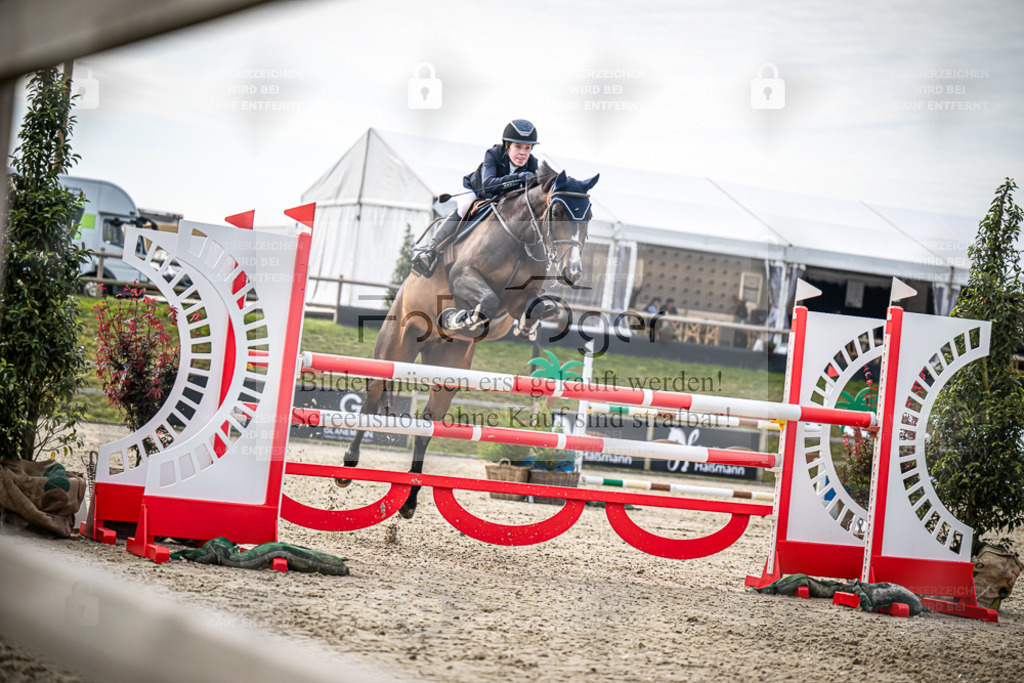DOS_7293 | Entdecke hochwertige Reitturnierfotos von Foto Oger. Professionell, emotional und authentisch – jetzt Lieblingsmomente im Shop bestellen. - Realisiert mit Pictrs.com