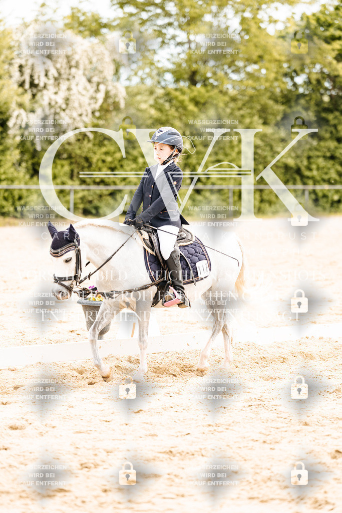 CK904694 | Turnierfotografie Pferdefotografie Trier Rheinland-Pfalz Pferdesport Reitsport Tierfotografie Sportfotografie Pferdevideo Pferdevideografie Equestrianvideography equestrianphotography  - Realisiert mit Pictrs.com