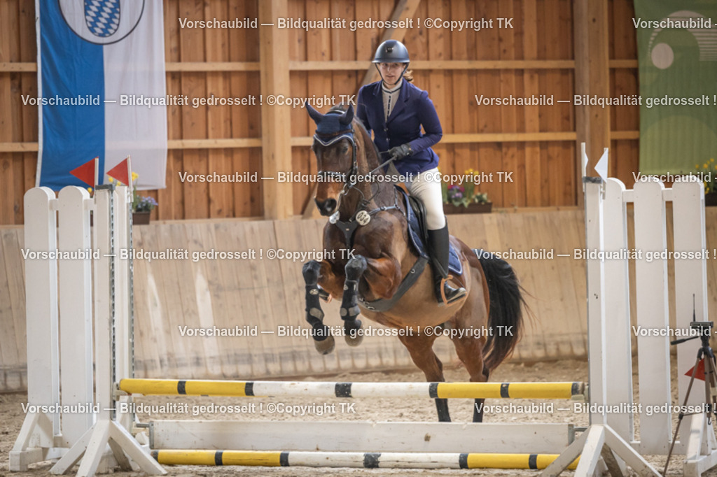 _D5A0120 | Emotionale Pferde- & People-Fotografie rund um Heidelberg, Leimen & Umgebung. Natürliche Fotos von Pferd, Mensch & Familie. Jetzt Termin sichern!