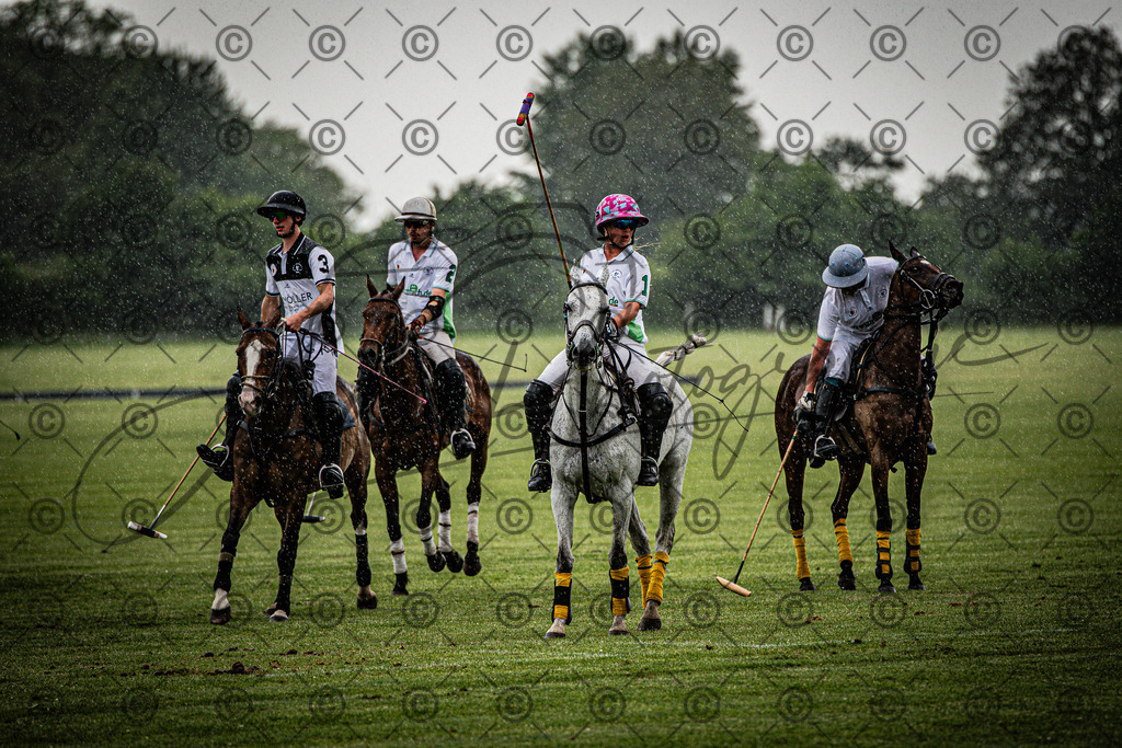 POL_2576 | andre_photographic