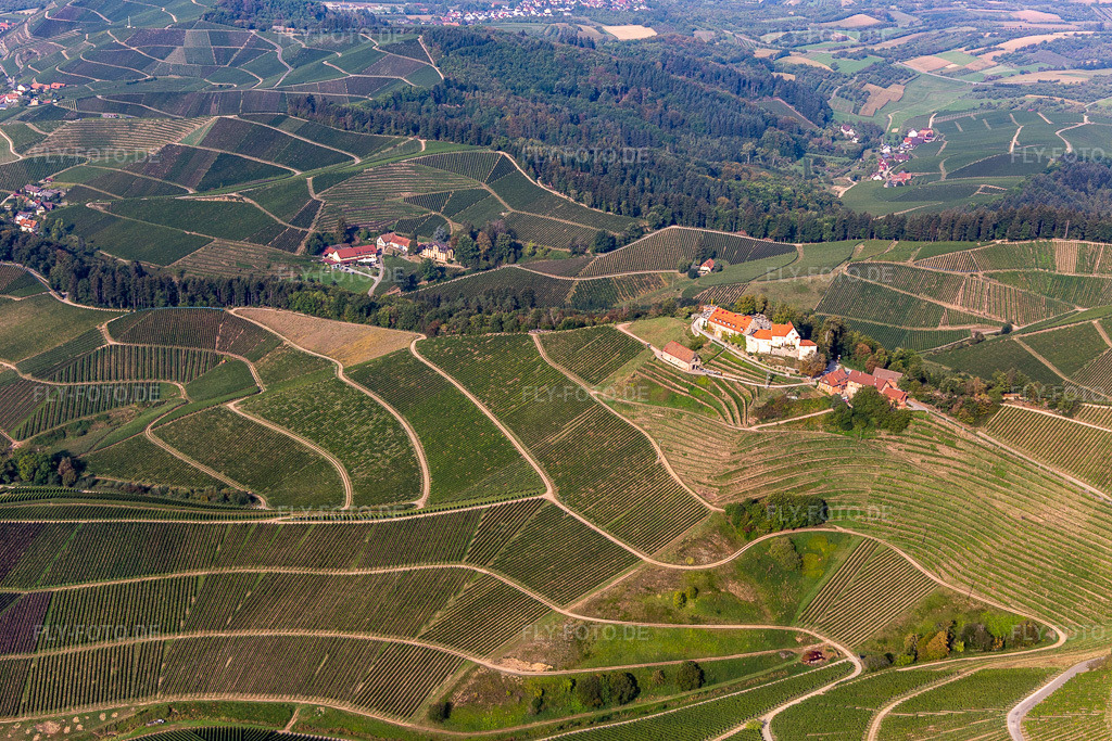 Luftbild: Weingut Markgraf von Baden im Schloss Staufenberg im Ortsteil Heimbach in Durbach im Bundesland Baden-Württemberg in Deutschland. Foto: IMG_008944.jpg vom 20.09.2020 durch Werner Riehm/FLY-FOTO.de