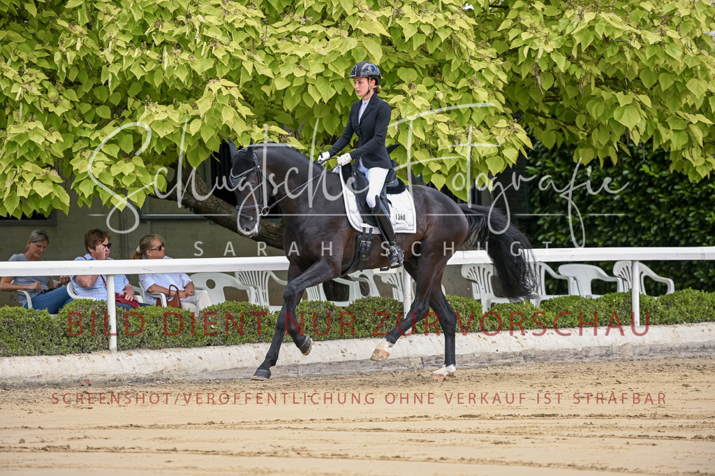 Schugtsche-Aluta25-48.Reitpferfdeprf.-98 | Schugtsche Fotografie - Realisiert mit Pictrs.com