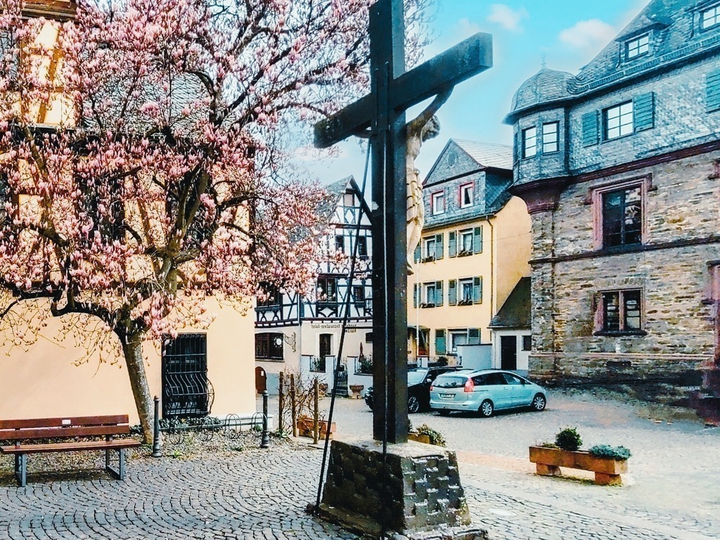KOLORO_1679960727583 | Jedes Jahr im Frühjahr ist der Magnolienbaum am Marktplatz ein beliebtes Fotomotiv für Hobbyfotografen und Profis. - Realisiert mit Pictrs.com