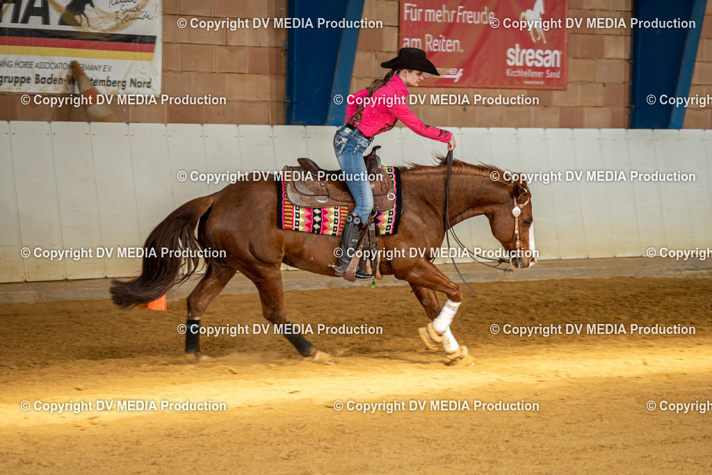 MIT00887 | dv-media-shop - Realisiert mit Pictrs.com