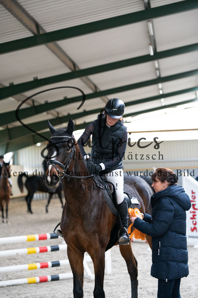 A7V01867 | Pferdefotograf