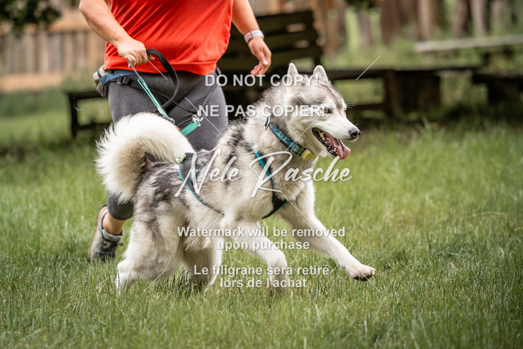 nelerasche_So-funtrail_229 | nelerasche