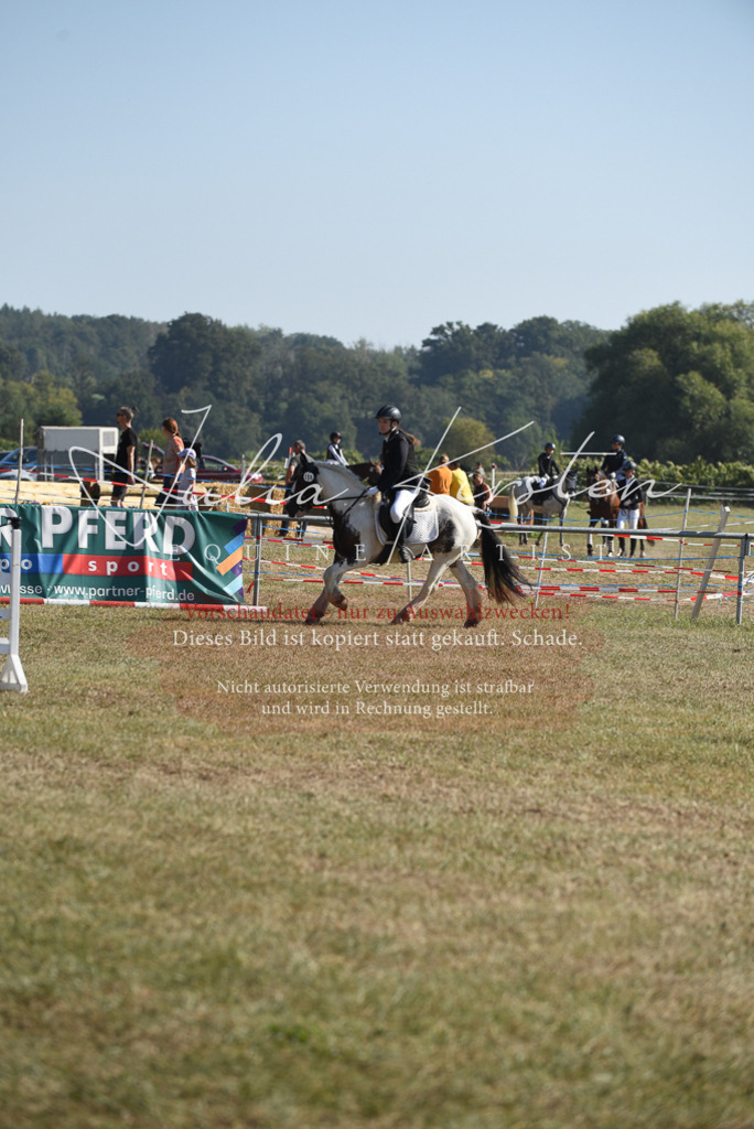 DSC_6091 | Pferde- und Turnierfotografie in Westsachsen. Pferdeportraits, Auftragszeichnungen und intuitive Kunst.