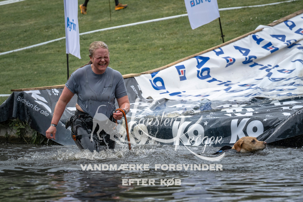 1537_ZZ95740 | kk-dogfotos