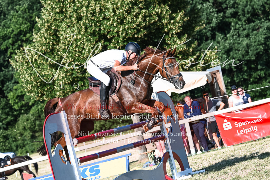 DSC_2750 | Pferde- und Turnierfotografie in Westsachsen. Pferdeportraits, Auftragszeichnungen und intuitive Kunst.