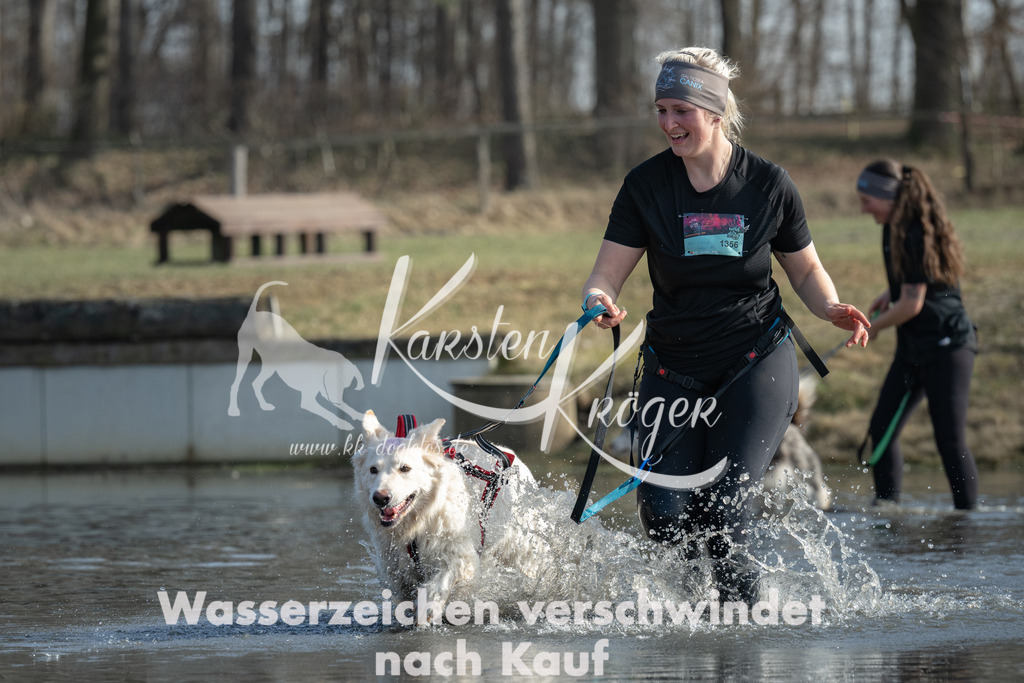 1330_ZZ96601 | kk-dogfotos