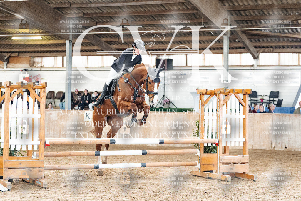 CK904108 | Turnierfotografie Pferdefotografie Trier Rheinland-Pfalz Pferdesport Reitsport Tierfotografie Sportfotografie Pferdevideo Pferdevideografie Equestrianvideography equestrianphotography  - Realisiert mit Pictrs.com