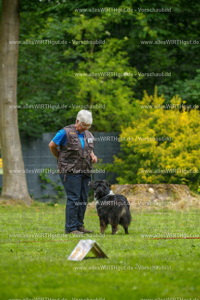 @allesWIRTHgut_Tierfotografie - www.allesWIRTHgut.de - 091554-7R506831 | Professionelle Tierfotografie in Mönchengladbach von Daniel Wirth (allesWIRTHgut). Liebevolle & natürliche Bilder von Hunden & Katzen für unvergessliche Erinnerungen.