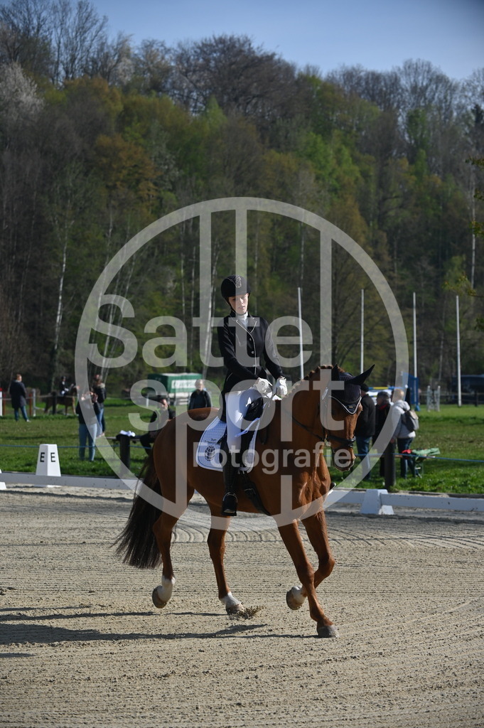 DSC_9895 | sattelsport - Realisiert mit Pictrs.com