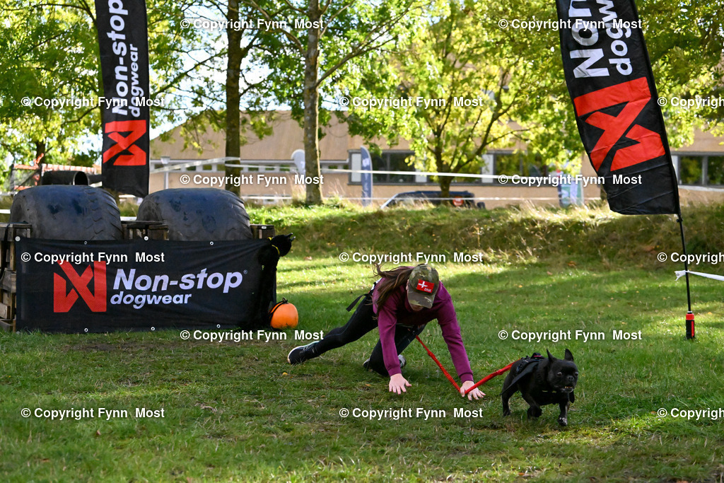 DSC_6859 | Hallo und herzlich Willkommen auf meiner Shop-Seite Fynn Most.

Ich wünsche Dir viel Spaß beim stöbern durch die Bilder, wenn Du Fragen hast oder Bilder vermisst, kannst du mir gerne eine Nachricht schreiben. - Realisiert mit Pictrs.com