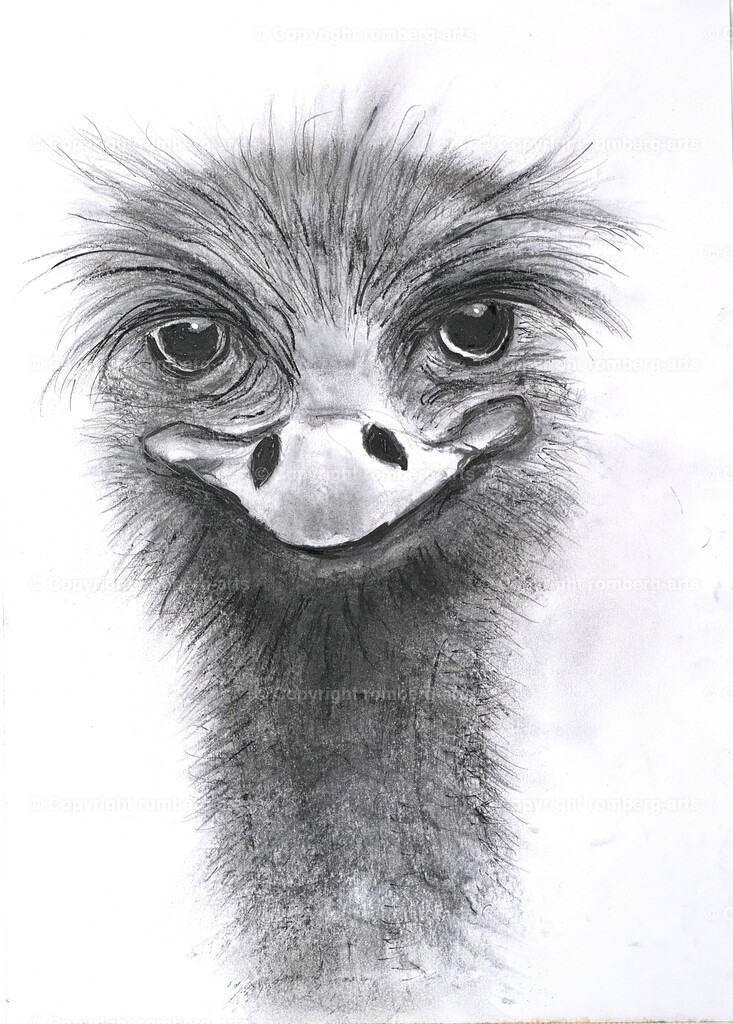 L1020595 | romberg-arts, romberg-arts.de, www.romberg-arts.de, Foto_Online_Shop, Julia Fuhrmann, Köln, Fotos, Fotografie, Fotokunst, Kunstdrucke, Naturfotos, Aktfotos, Nacktfotos, schwarz_weiß_Fotos, Blumenfotos, Blumen, Tiere, Beton, Korrosion, Lächeln, Drucke