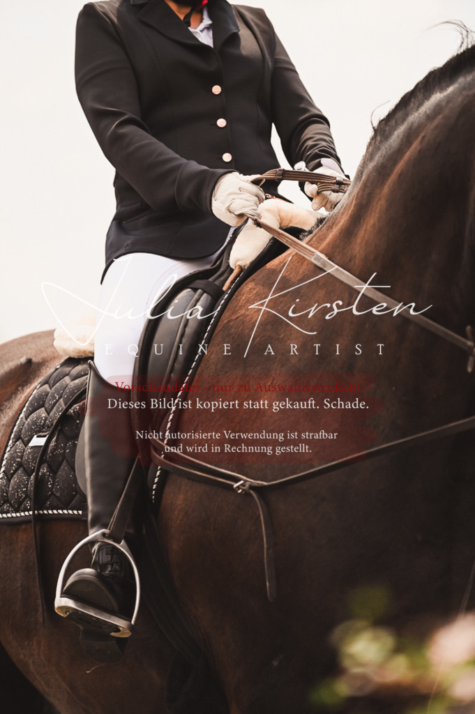 DSC_6345 | Pferde- und Turnierfotografie in Westsachsen. Pferdeportraits, Auftragszeichnungen und intuitive Kunst.