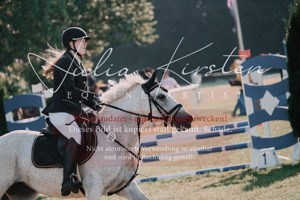 DSC_4438 | Pferde- und Turnierfotografie in Westsachsen. Pferdeportraits, Auftragszeichnungen und intuitive Kunst.