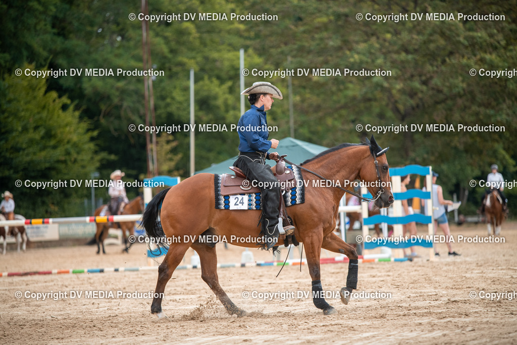 ZS2_8424 | dv-media-shop - Realisiert mit Pictrs.com