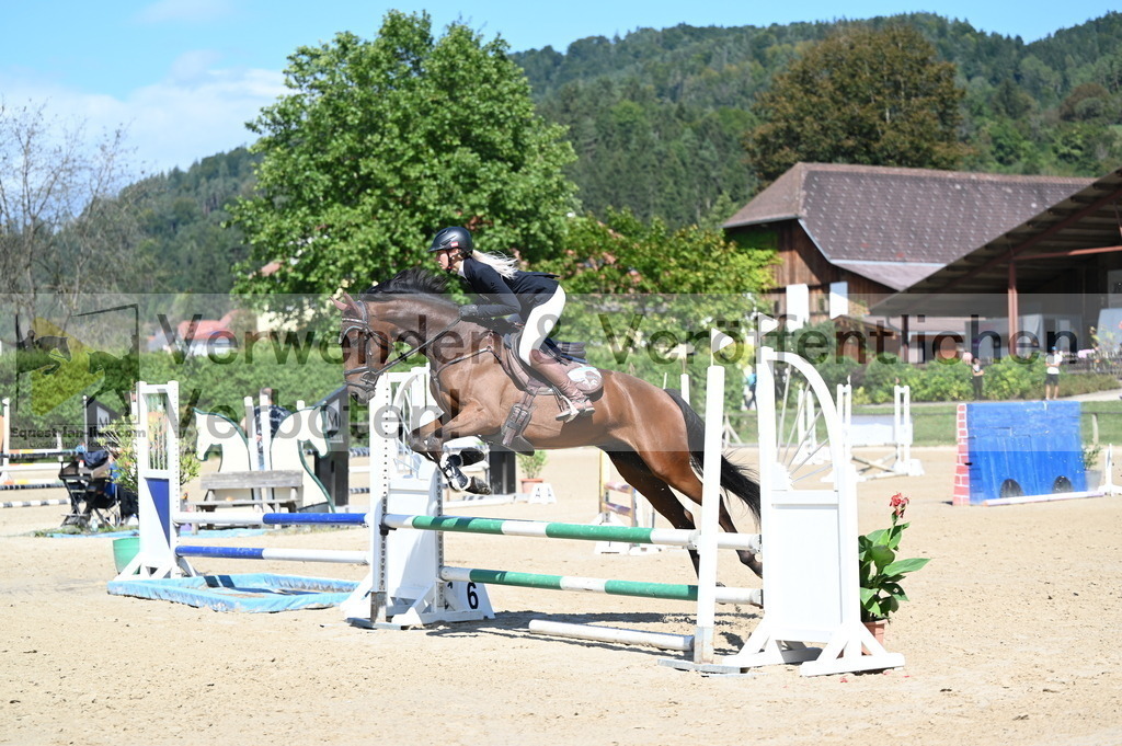 DSC_8301 | equestrian-live-com
