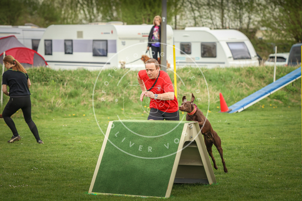 Pfotenfotografie_0L8A1128 | Hundefotografie, Tierfotograf, Pfotenfotografie, Fotoshooting Hund, Hunde Portrait, Hundesport, Hundeportraits, Heideshooting, Hunde, Sportfotograf, Hundefotograf, Turnierhundsport, THS,  - Realisiert mit Pictrs.com