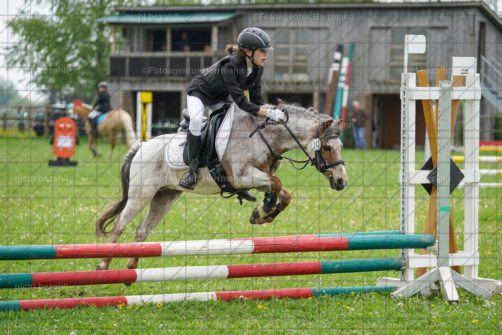 20240509-FAH02388 | Turnierbilder der Turnierfotografen Bayern, Pferdesport Fotografie, Reitsportbilder, Turnier Landberg am Lech, Turnierbilder bayern, Fotoagentur Herrmann