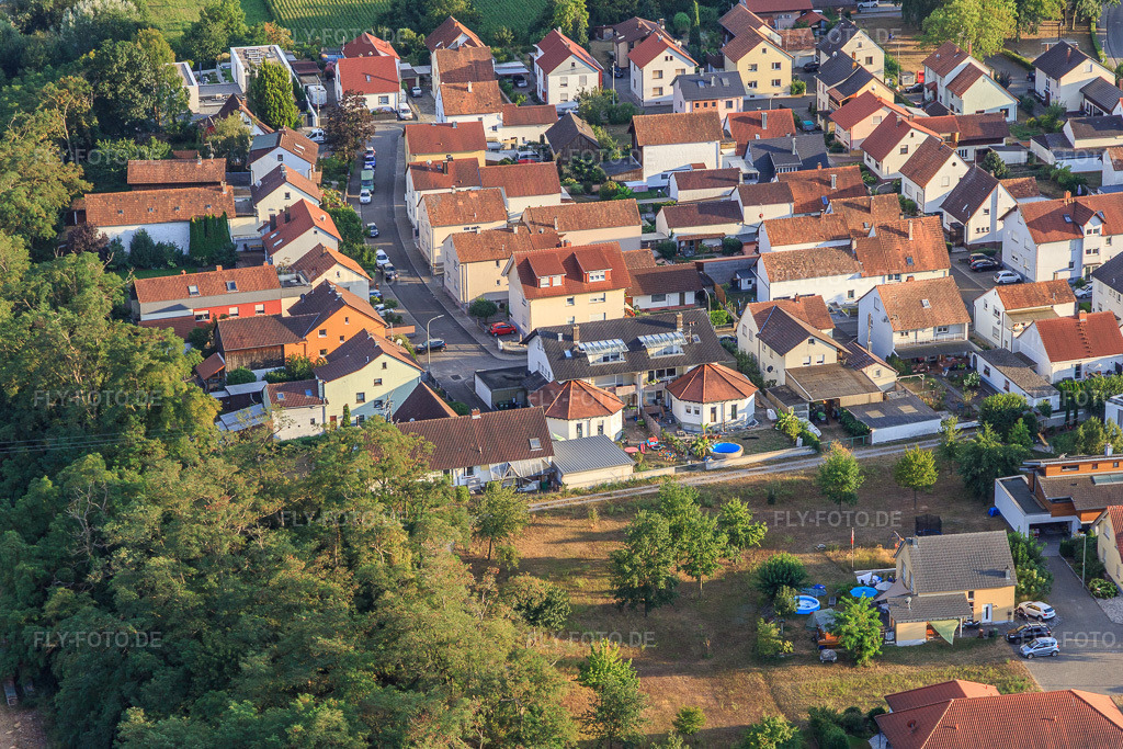 Luftbild: Ortsansicht im Ortsteil Hardtwald in Neupotz im Bundesland Rheinland-Pfalz in Deutschland. Foto: IMG_122275.jpg vom 15.08.2020 durch Werner Riehm/FLY-FOTO.de