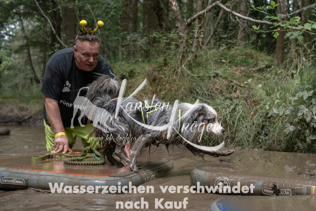 1337_ZZ94987 | kk-dogfotos