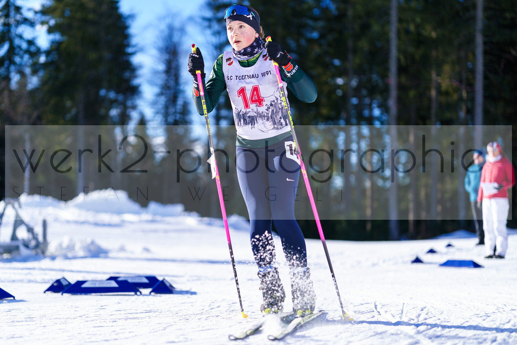 DSC Notschrei | 2. DSV E.INFRA Schülercup im Nordic-Center Notschrei am 17. bis 19. Januar 2025
