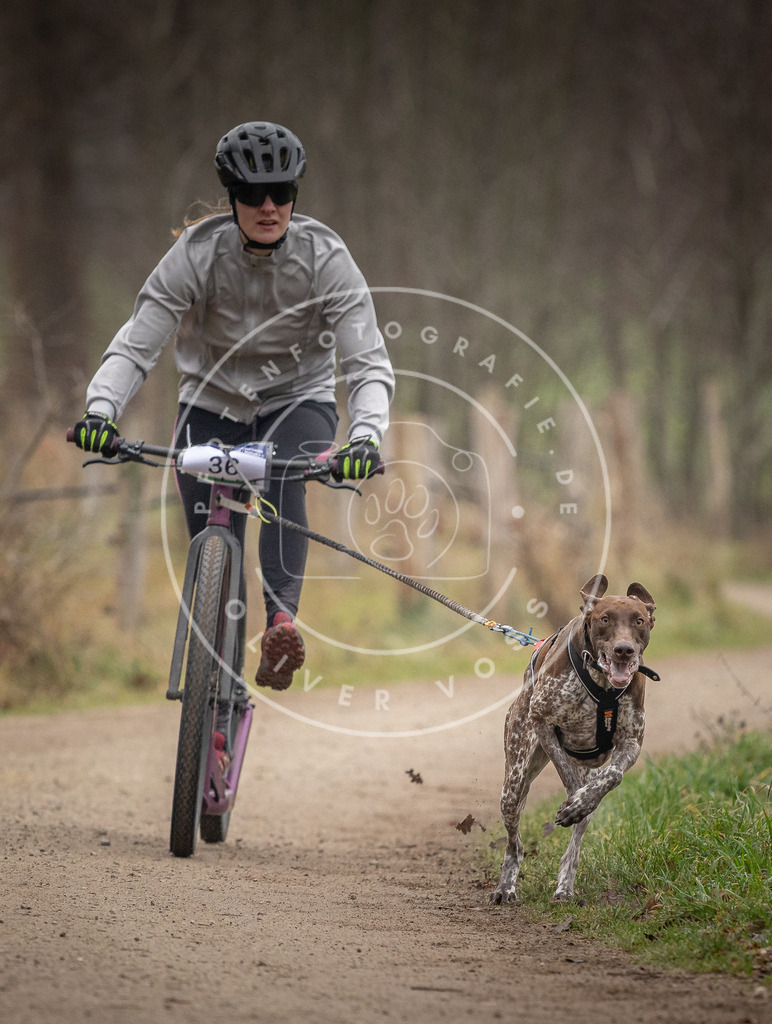 Pfotenfotografie_DV3A2406 | Hundefotografie, Tierfotograf, Pfotenfotografie, Fotoshooting Hund, Hunde Portrait, Hundesport, Hundeportraits, Heideshooting, Hunde, Sportfotograf, Hundefotograf, Turnierhundsport, THS,  - Realisiert mit Pictrs.com