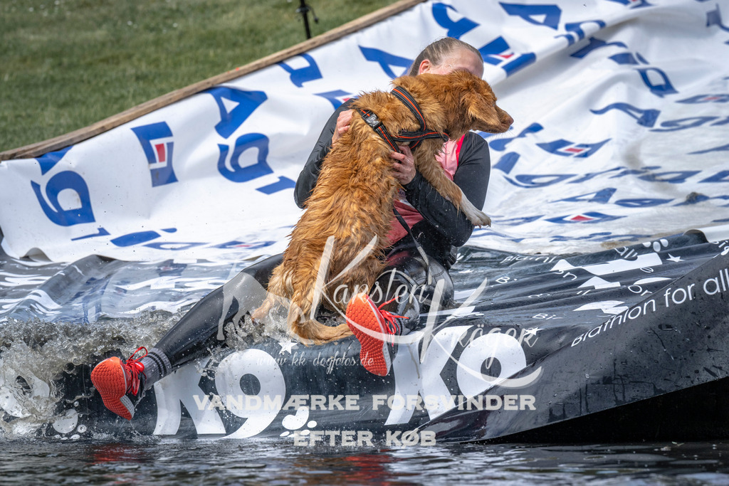 1128_ZZ92426 | kk-dogfotos