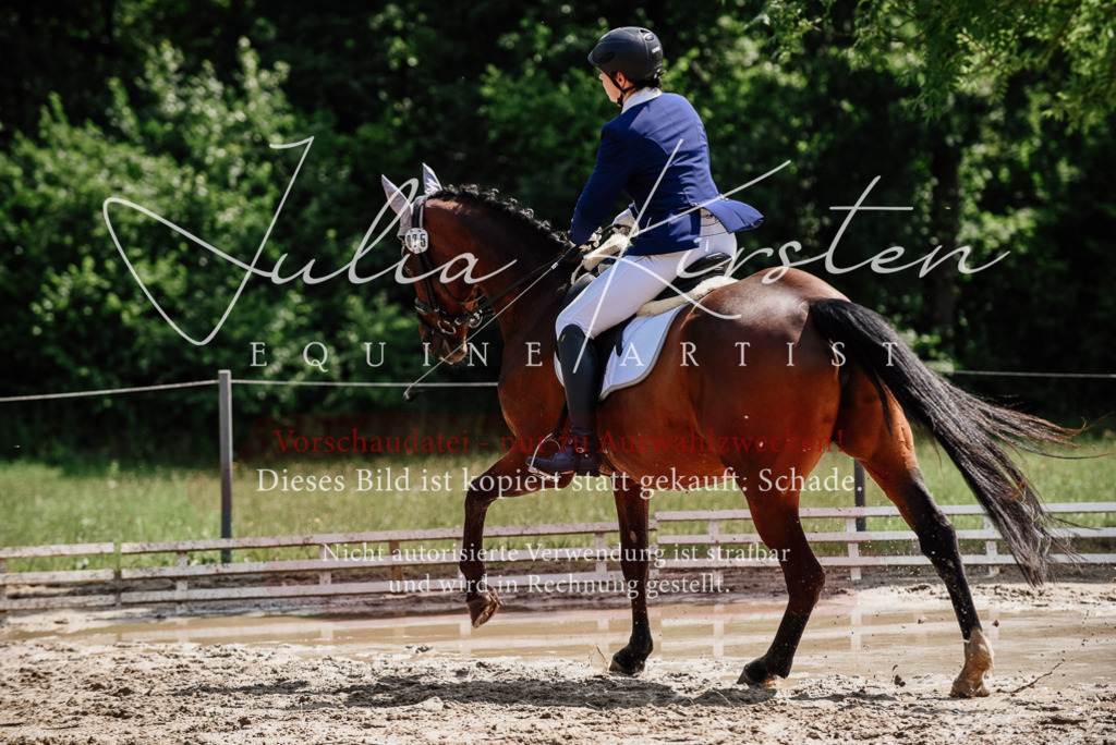 DSC_1234 | Pferde- und Turnierfotografie in Westsachsen. Pferdeportraits, Auftragszeichnungen und intuitive Kunst.