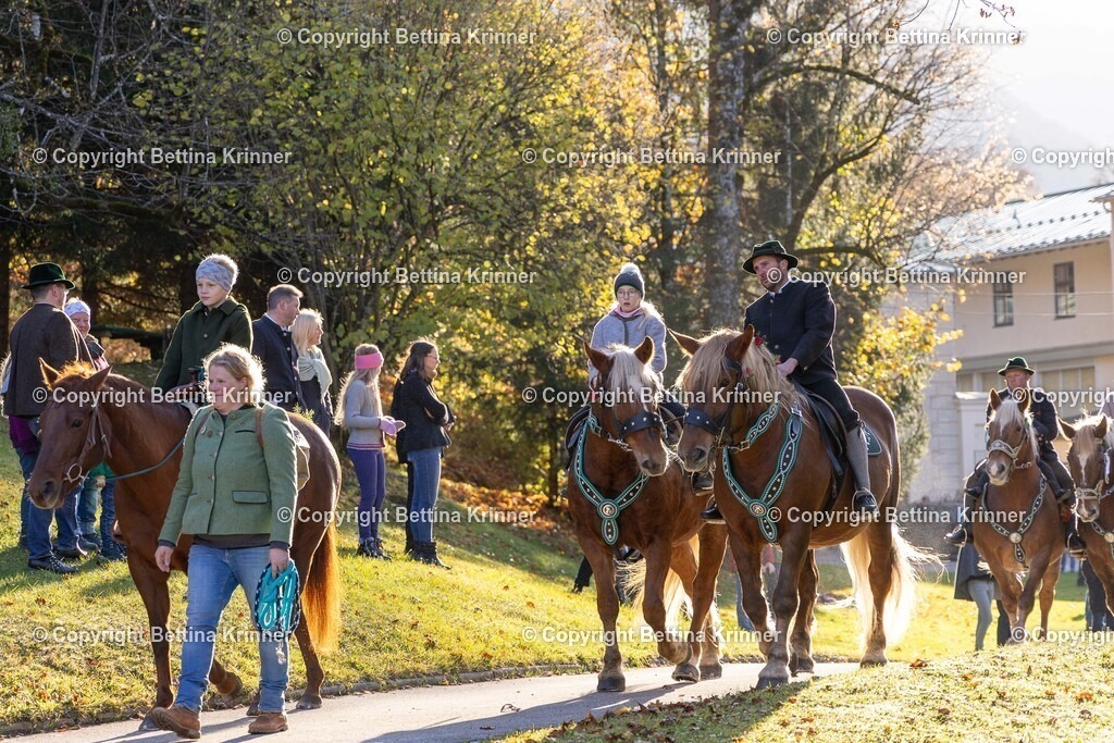 LL24-217 | foto-bettina-krinner - Realisiert mit Pictrs.com